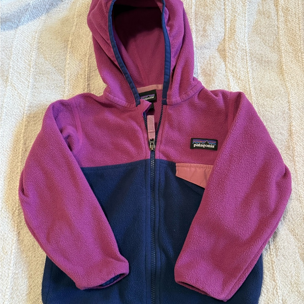 Patagonia 2T Micro D Snap T-Fleece Jacket